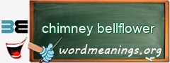 WordMeaning blackboard for chimney bellflower